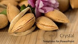  Presentation with almond - PPT layouts consisting of almond oil and almonds background and a coral colored foreground