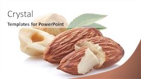  Presentation with hazelnuts - Presentation theme with almonds-and-hazelnuts-kernel background and a white colored foreground
