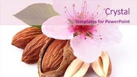  Presentation with almonds - PPT theme having almonds kernel with flower background and a lemonade colored foreground
