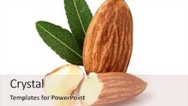  Presentation with almonds - PPT theme featuring almonds kernel with leaf background and a coral colored foreground