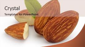  Presentation with almonds - Audience pleasing PPT theme consisting of almonds kernel with leaves backdrop and a coral colored foreground