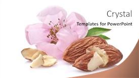  Presentation with almonds - Slides consisting of almonds-kernel-with-pink-flower background and a  colored foreground