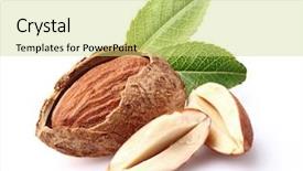  Presentation with almonds - Presentation theme having almonds kernel background and a yellow colored foreground