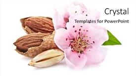  Presentation with almonds - Slide deck with almonds nuts with pink flowers background and a white colored foreground
