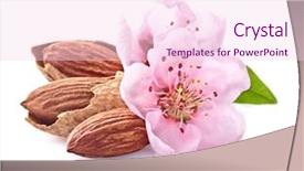  Presentation with almonds - Amazing PPT theme having almonds nuts with pink flowers backdrop and a pink colored foreground