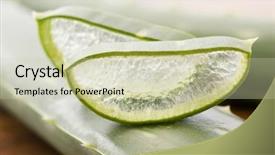  Presentation with phytochemical aloe vera - Presentation theme enhanced with aloe leaf and aloe slice background and a  colored foreground