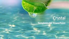  Presentation with water leaf - Audience pleasing slide set consisting of aloe leaf with drop backdrop and a teal colored foreground