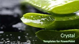  Presentation with droplet - PPT layouts having aloe leaf with juice droplet background and a tawny brown colored foreground