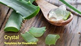  Presentation with aloe vera gel - Slides featuring aloe leaves and aloe gel background and a tawny brown colored foreground