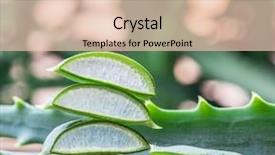  Presentation with tea leaves fresh green leaf - Audience pleasing slide set consisting of fresh aloe leaves and aloe backdrop and a lemonade colored foreground