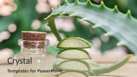  Presentation with tea leaves fresh green leaf - Theme enhanced with fresh aloe leaves and aloe background and a soft green colored foreground