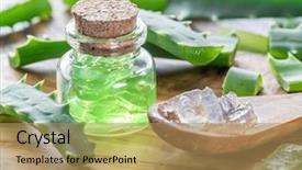  Presentation with tea leaves fresh green leaf - Slide deck consisting of fresh aloe leaves and aloe background and a coral colored foreground