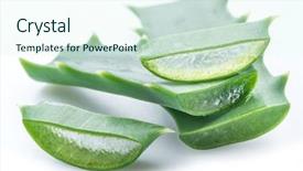  Presentation with aloe vera gel - Slides enhanced with aloe or aloe vera fresh background and a sky blue colored foreground