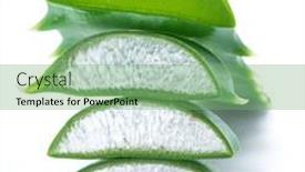  Presentation with aloe vera - Theme having aloe-or-aloe-vera-fresh background and a seafoam green colored foreground