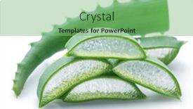  Presentation with aloe vera - PPT theme having aloe-or-aloe-vera-fresh background and a seafoam green colored foreground