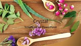  Presentation with green leaves simple - Amazing PPT theme having aloe plant - green herbs and leaves backdrop and a coral colored foreground