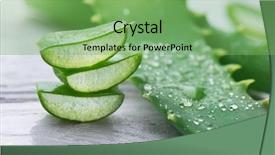  Presentation with organic cosmetics - Slide deck featuring aloe vera closeup sliced aloevera background and a seafoam green colored foreground