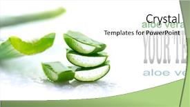  Presentation with organic cosmetics - Colorful PPT theme enhanced with aloe vera closeup sliced aloevera backdrop and a white colored foreground