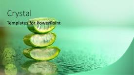  Presentation with gel medicine - Beautiful PPT theme featuring aloe-vera-closeup-slices backdrop and a mint green colored foreground