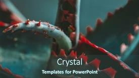  Presentation with aloe vera - PPT theme having aloe-vera-coral-fire-leaf background and a ocean colored foreground