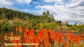  Presentation with aloe vera - Beautiful PPT theme featuring aloe-vera-flowers-blossom backdrop and a tawny brown colored foreground