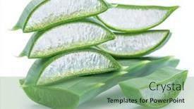  Presentation with aloe vera - Theme having aloe-vera-fresh-slices background and a seafoam green colored foreground