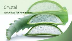  Presentation with aloe vera - Slide deck having aloe-vera-fresh-slices background and a mint green colored foreground