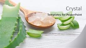  Presentation with alternative medicine - Amazing PPT layouts having aloe-vera-gel-closeup-sliced backdrop and a sky blue colored foreground
