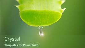  Presentation with gel medicine - PPT theme with aloe-vera-gel-dripping background and a tawny brown colored foreground