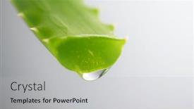  Presentation with gel medicine - Presentation design consisting of aloe-vera-gel-dripping background and a light gray colored foreground