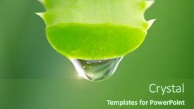  Presentation with alternative medicine - Slide deck consisting of aloe-vera-gel-dripping background and a tawny brown colored foreground