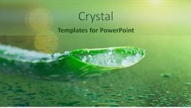  Presentation with gel medicine - Audience pleasing PPT theme consisting of aloe-vera-gel-dripping backdrop and a seafoam green colored foreground