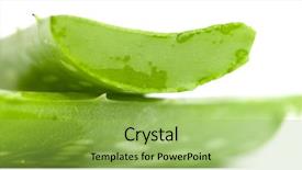  Presentation with aloe vera gel - Theme enhanced with aloe vera leaf background and a  colored foreground