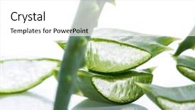  Presentation with aloe vera gel - Colorful theme enhanced with aloe vera leaves on white backdrop and a white colored foreground