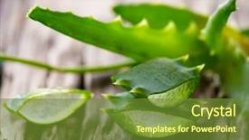  Presentation with aloe vera gel - Amazing PPT theme having aloe vera leaves on wooden backdrop and a tawny brown colored foreground