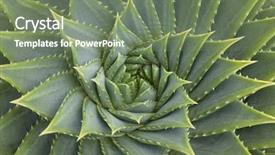  Presentation with aloe vera - Cool new slides with aloe vera plant full frame backdrop and a violet colored foreground