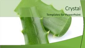  Presentation with aloe vera gel - PPT theme enhanced with aloe vera plants background and a yellow colored foreground