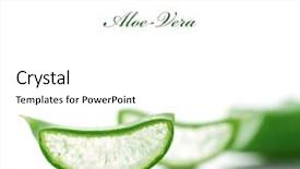  Presentation with aloe vera gel - Presentation design having aloe vera slices selective focus background and a white colored foreground