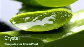  Presentation with aloe vera gel - Amazing slides having aloe vera slices stacked backdrop and a tawny brown colored foreground