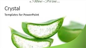  Presentation with aloe vera gel - Audience pleasing presentation theme consisting of aloe vera slices backdrop and a white colored foreground