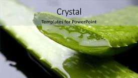  Presentation with aloe vera gel - Beautiful slides featuring aloe vera slices backdrop and a light blue colored foreground