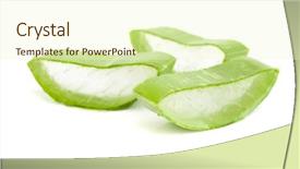  Presentation with aloe vera gel - PPT theme having aloe vera slices background and a cream colored foreground