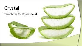  Presentation with aloe vera - Slides consisting of aloe vera slices background and a  colored foreground