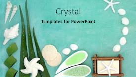  Presentation with wounds - PPT layouts having aloe-vera-vegan-skin-care background and a seafoam green colored foreground