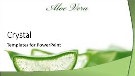  Presentation with aloe vera - Amazing slides having aloe vera backdrop and a white colored foreground