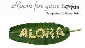  Presentation with plumeria - Cool new slides with aloha written on a banana backdrop and a white colored foreground