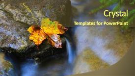  Presentation with mountain stream - Colorful slides enhanced with alone autumn leaf in mountain backdrop and a  colored foreground