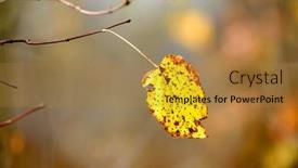  Presentation with alone - Beautiful theme featuring alone-bright-autumn-leaf backdrop and a gold colored foreground