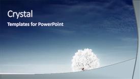  Presentation with snow tree - PPT theme consisting of alone frozen tree in snowy background and a navy blue colored foreground