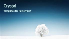  Presentation with winter blue - PPT theme featuring iris shoots and showy stonecrop spring in a sunny day background and a ocean colored foreground